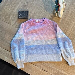 GAP Pink and Blue Women's Crew Neck Sweater